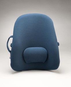 Obus Forme Back Support