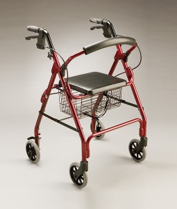 Seat Walker with Basket