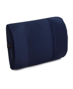 Back Support Drivers Friend