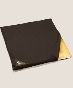 24. pilot action cushion