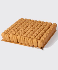 145. Star High Profile