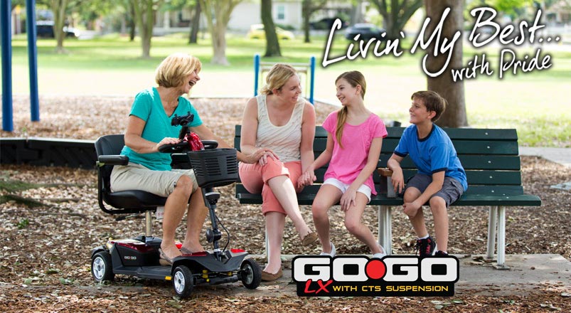 Pride GoGo Lx Mobility Scooter Accessories