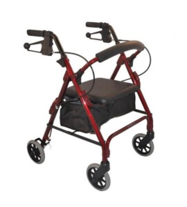 Days 6” Mini Seat Walker