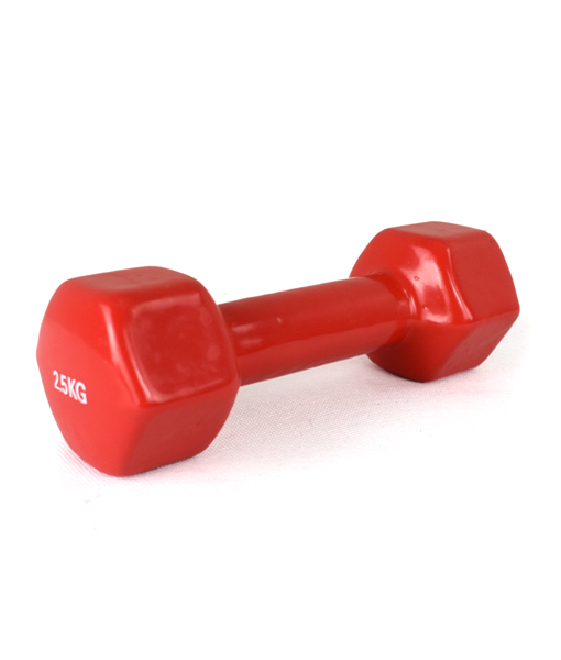 Weighted Dumbbell 4