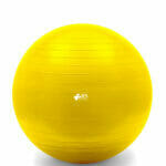 Therapy and Fitness Exercise Ball 6