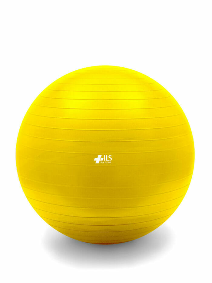 Therapy and Fitness Exercise Ball 1
