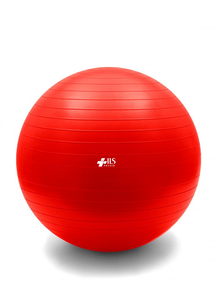 Fitness Exercise Ball - 55cm 1