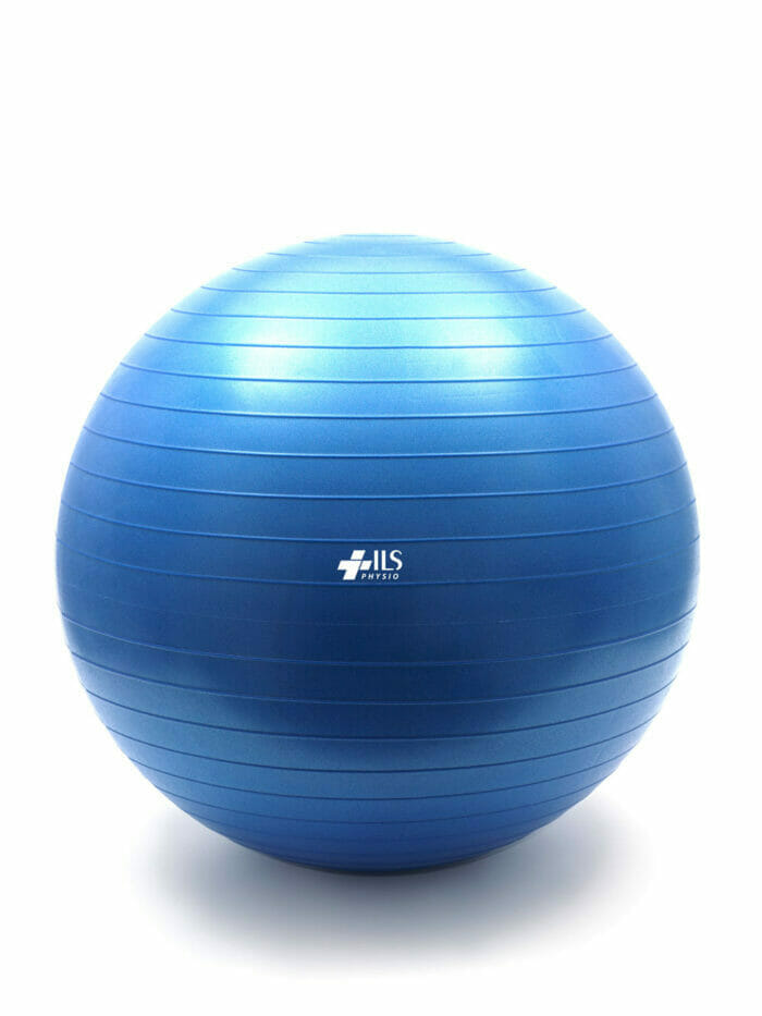 Therapeutic Exercise Ball 1