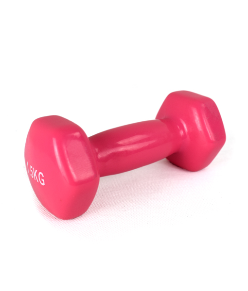 Weighted Dumbbell 6