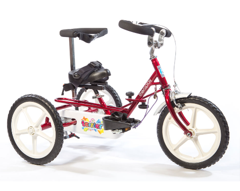 Theraplay Terrier Tricycle